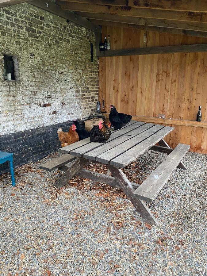 Hoeve Aan De Rand Maastricht Met Natuurzwembad