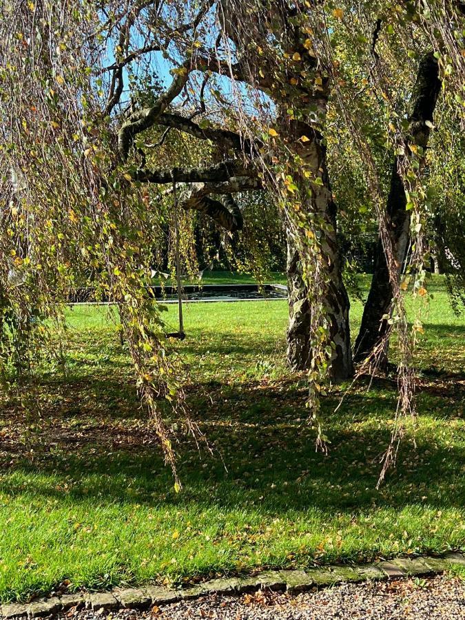 Hoeve Aan De Rand Maastricht Met Natuurzwembad *